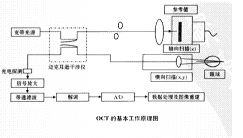 OCT基本工作原理_副本